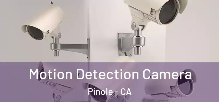  Motion Detection Camera Pinole - CA